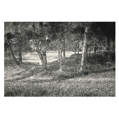 Peisaj cu copac lângă râu, care transmite pace și armonie