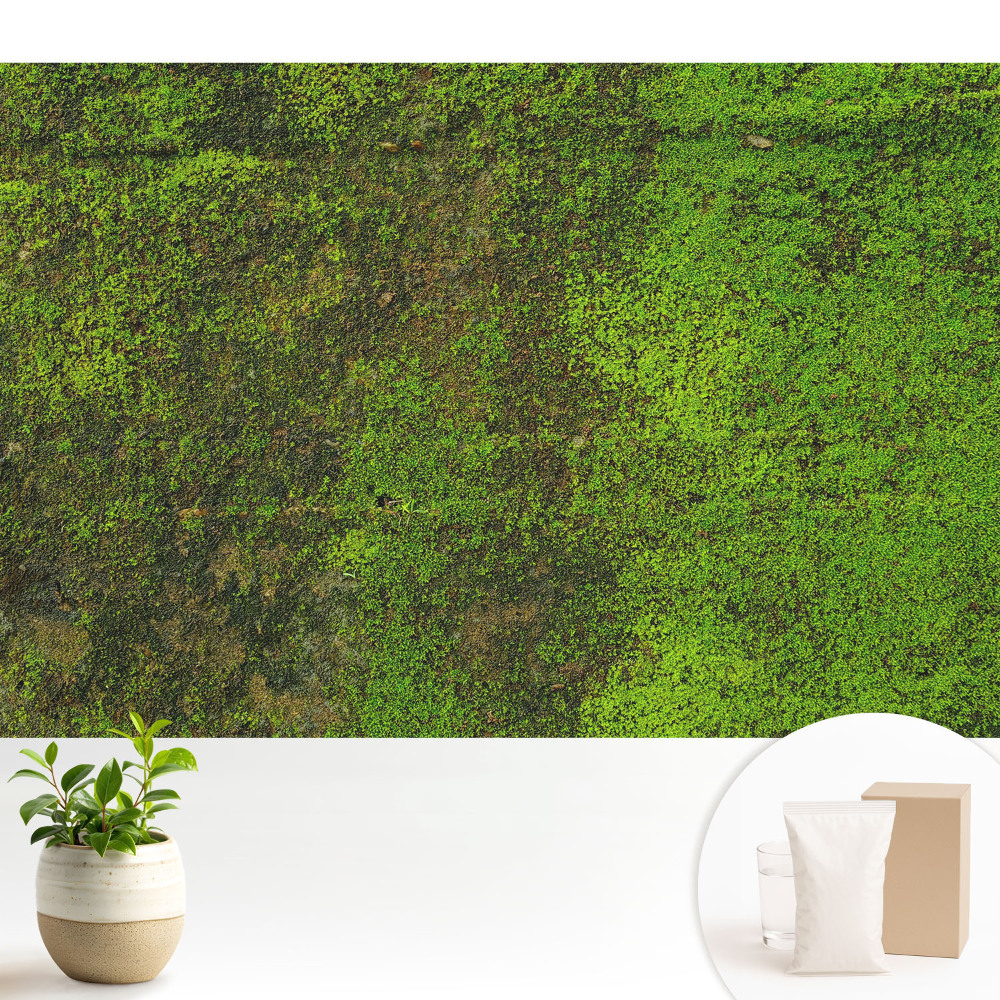 Textură organică de mușchi