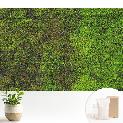 Textură organică de mușchi