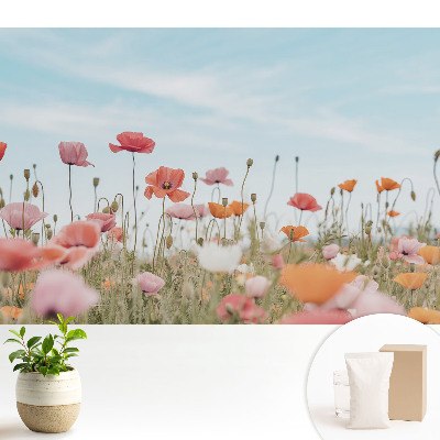 Maci colorați pe fundalul cerului albastru