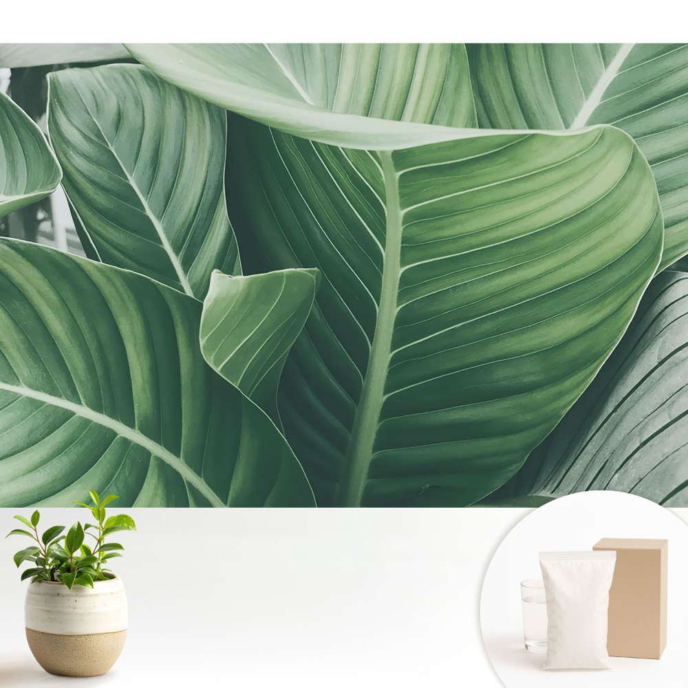 Frunze verzi, natură, armonie, modernitate