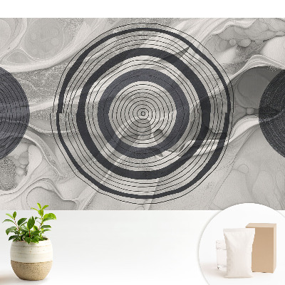 Abstracție tonală cu cercuri concentrice