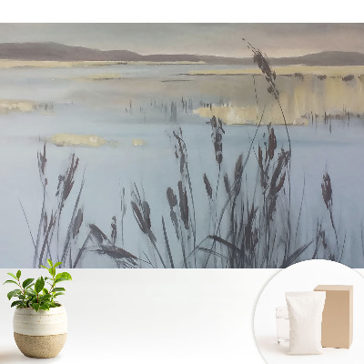 Lac cu stuf, spațiu reflectorizant