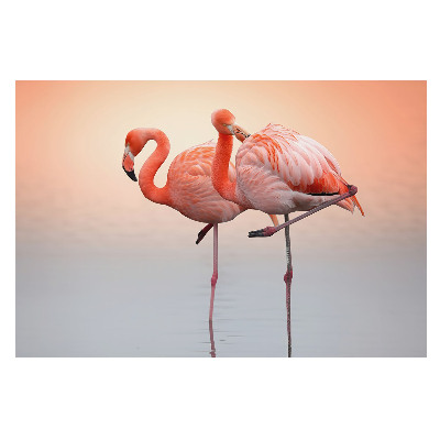 Flamingo pe fundal pastel