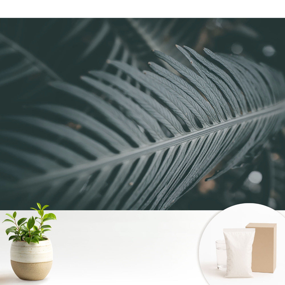 Compoziție elegantă de frunze