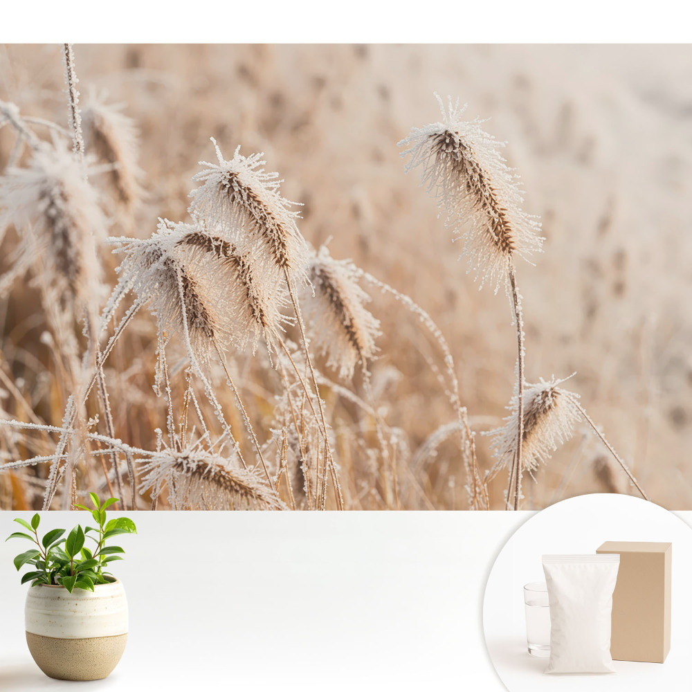 Îngheț pe iarbă frumusețea iernii natură