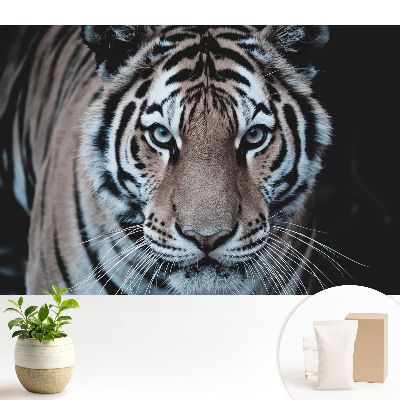 Compoziție dinamică magnetizantă a tigrului