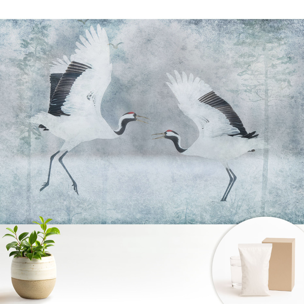 Macarale elegante într-un cadru delicat