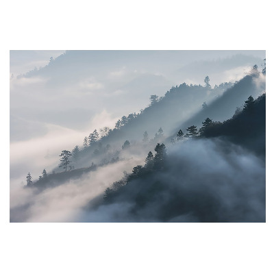 Peisaj înnorat cu munți și copaci