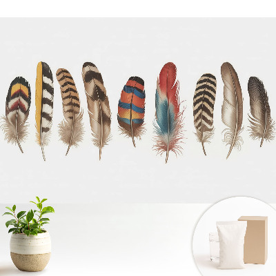 Pene colorate, model boho unic