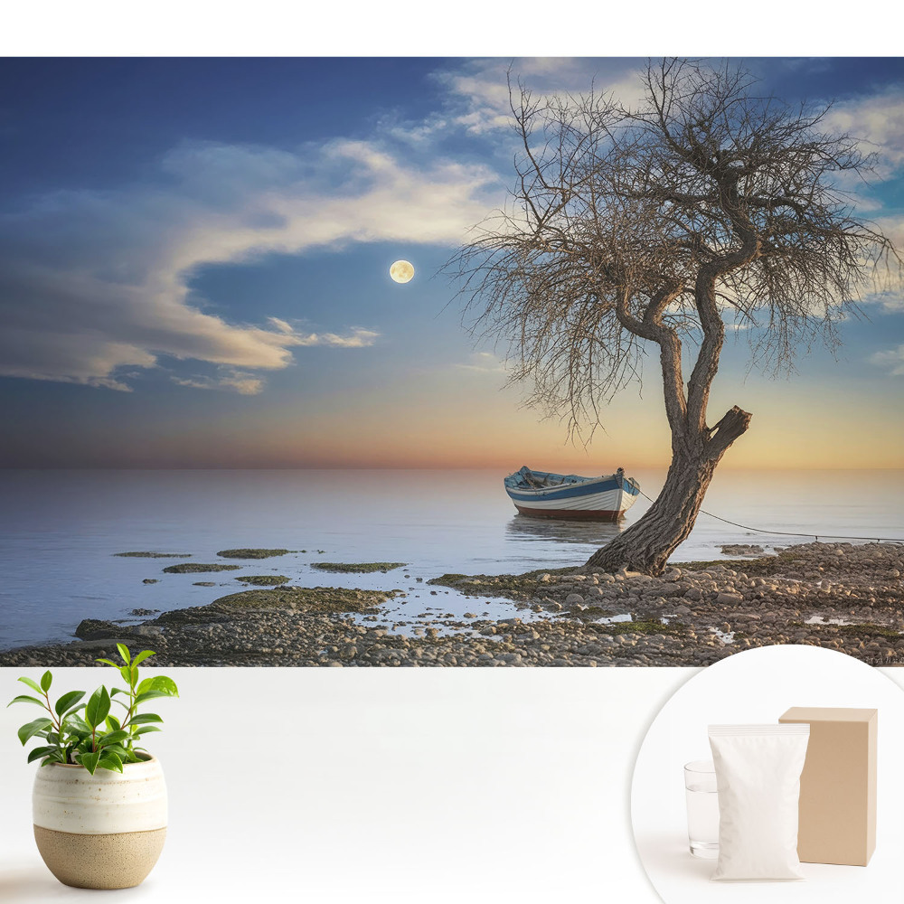 Apus de soare romantic cu o barcă și un copac