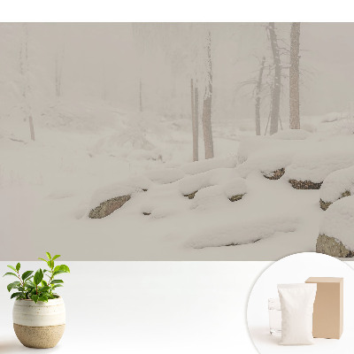 Peisaj de iarnă, pădure confortabilă