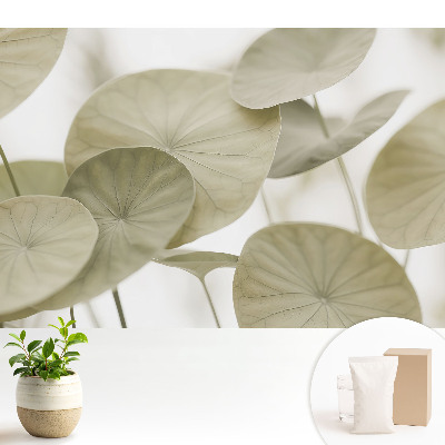 Frunze în stil minimalist