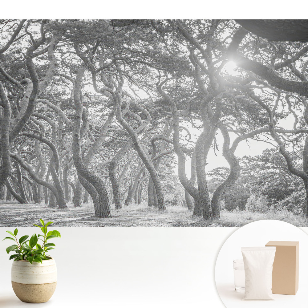 Pădurea misterioasă, clasică