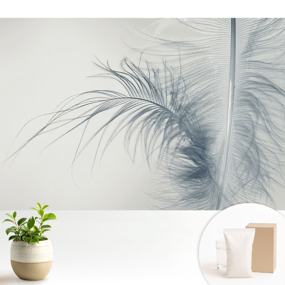 Motivul delicat al penei, ușurința și armonia