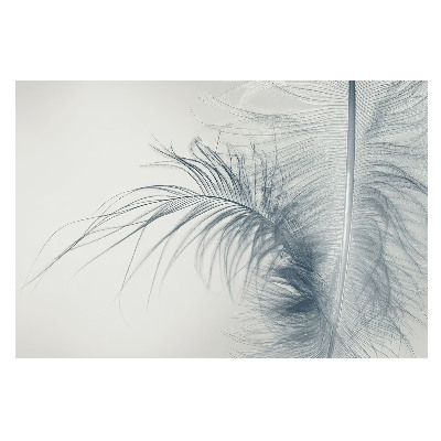 Motiv delicat cu pene, care exprimă ușurință și armonie