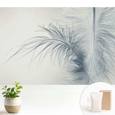 Motivul delicat al penei, ușurința și armonia