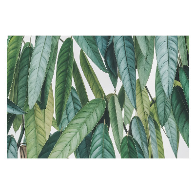 Frunze verzi în stil minimalist, cu motive naturale