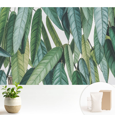 Frunze verzi minimalism natură