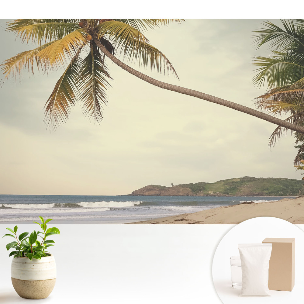 Palmier și plajă exotică