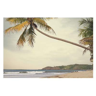 Tablou cu palmier și plajă exotică