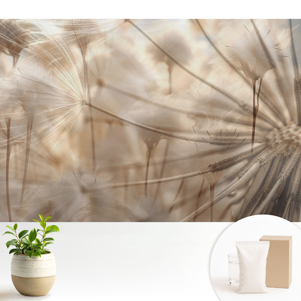 Păpădii eterice armonie a naturii