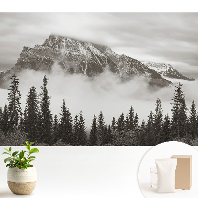 Peisaj montan înconjurat de ceață