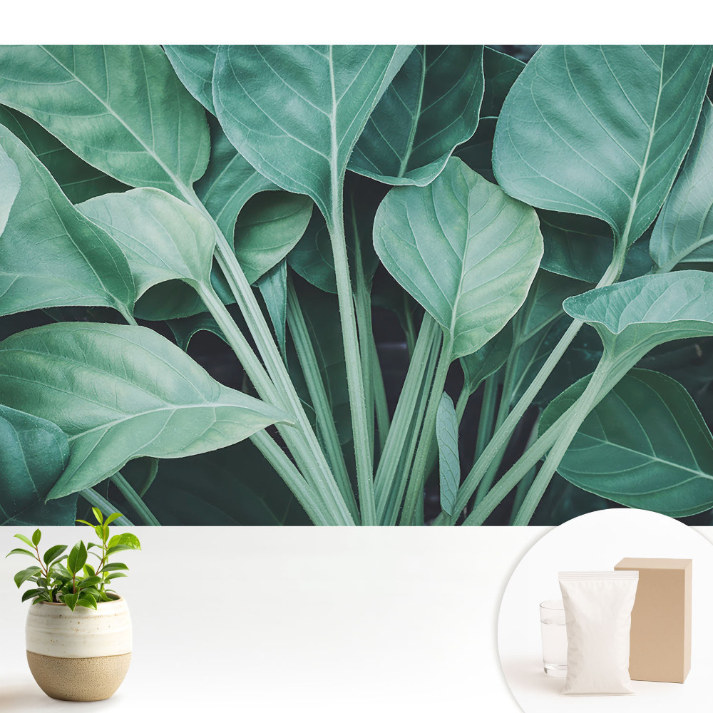 Frunze verzi, armonie a naturii