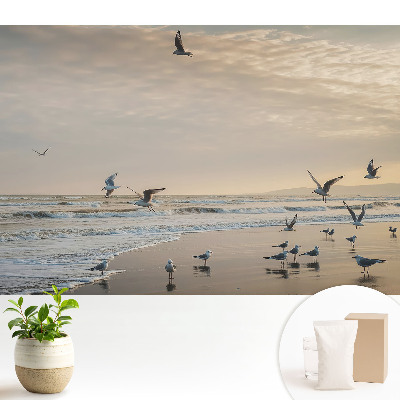 Pescăruși pe malul mării la apus