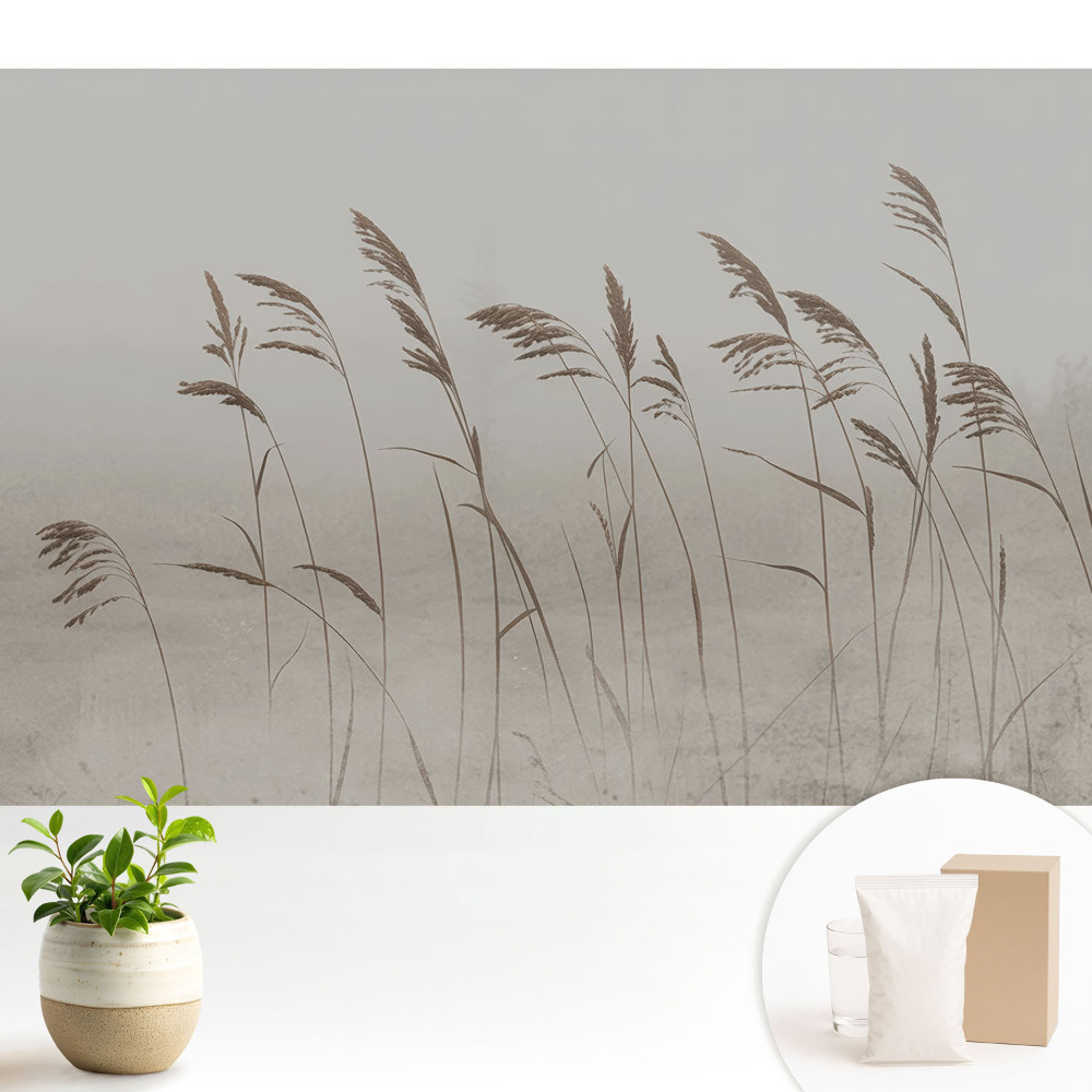 Fire subtile de iarbă într-o aură cețoasă