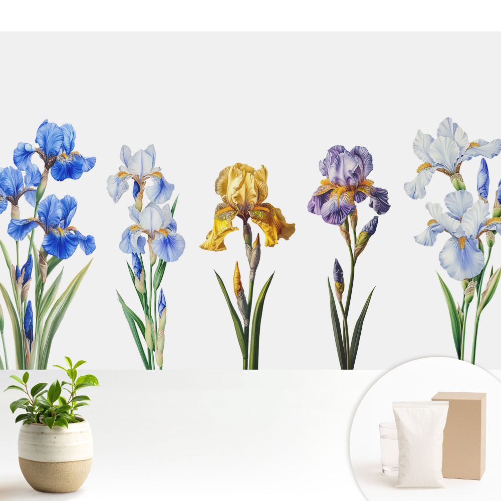 Flori de iris colorate pe fundal alb