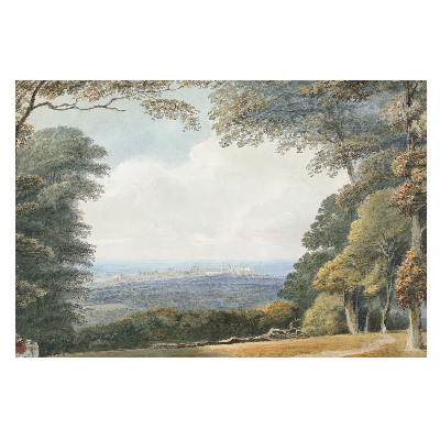 Peisaj lângă pădure cu vedere asupra orașului