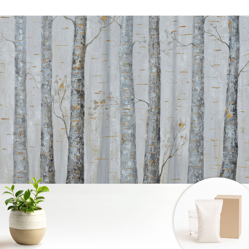 Pădure de mesteacăn într-o compoziție clasică