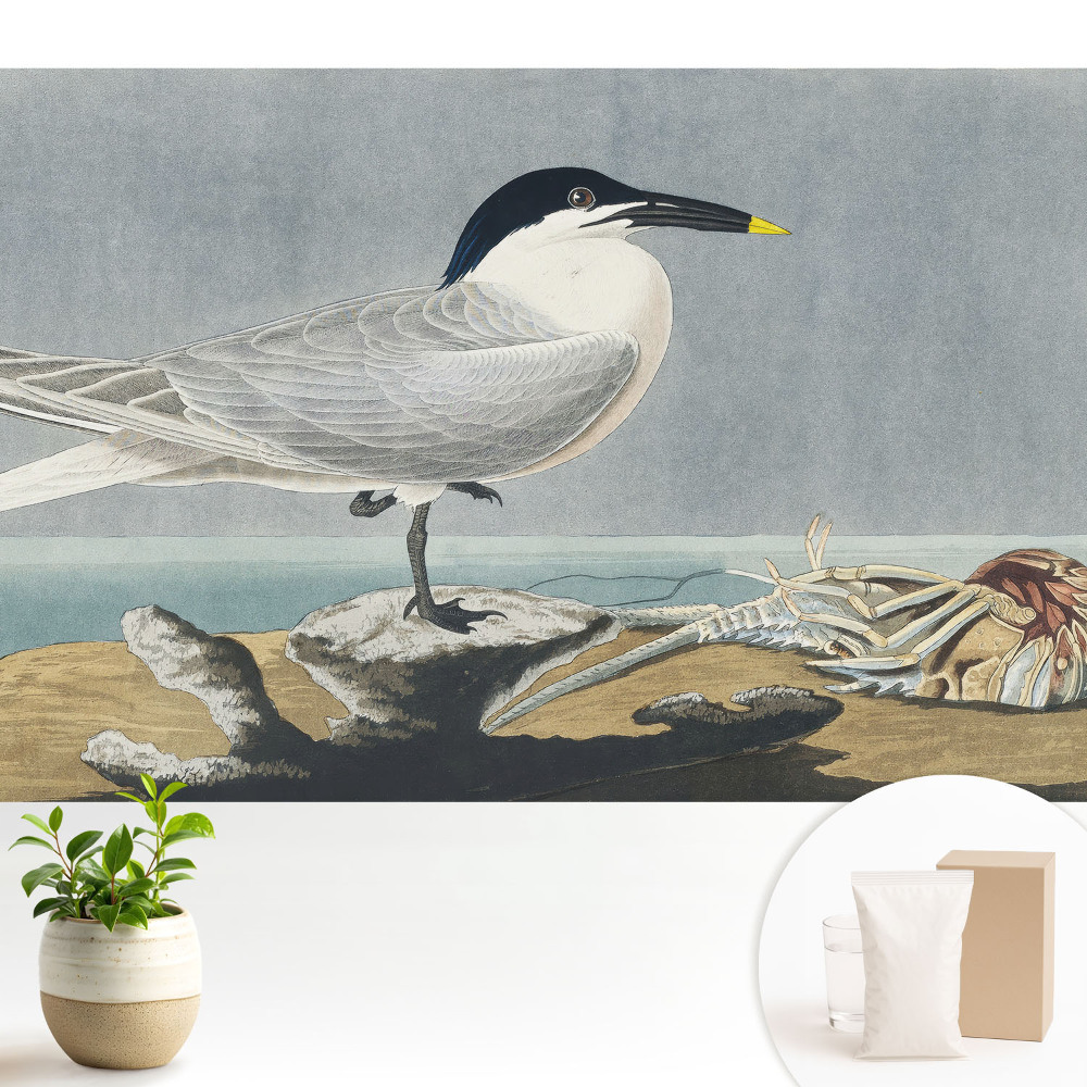 O pasăre elegantă pe fundalul mării