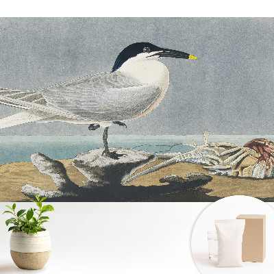 O pasăre elegantă pe fundalul mării