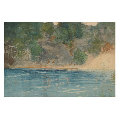 Peisaj exotic cu atmosferă relaxantă