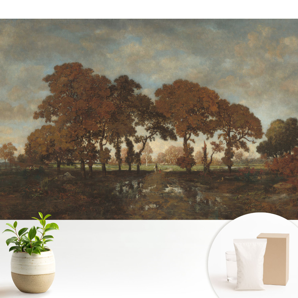 Copaci de toamnă într-un peisaj rustic