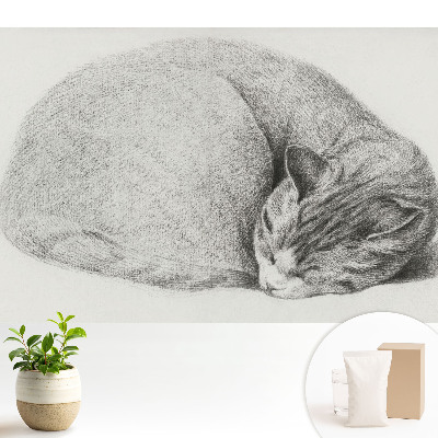 Desen realist al unei pisici adormite