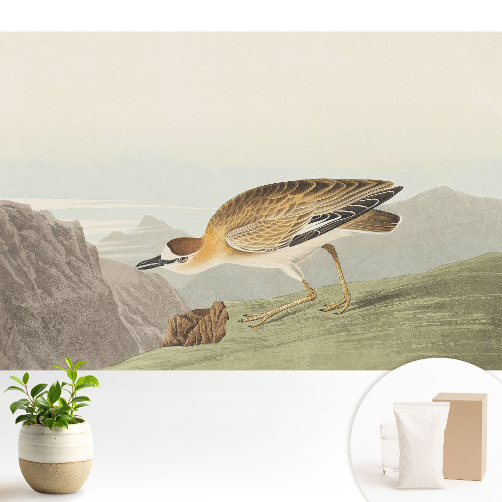 O pasăre pe versantul muntelui