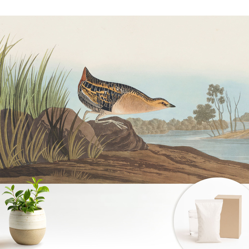 O pasăre deasupra apei într-un stil clasic