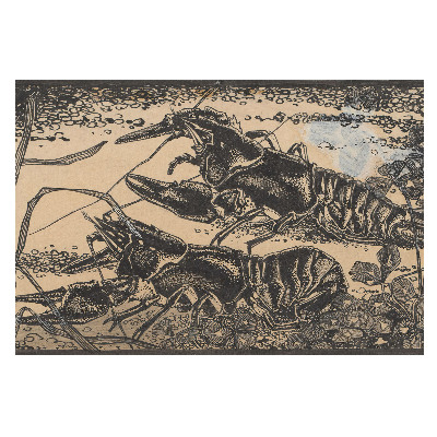 Raci și plante acvatice în stil clasic