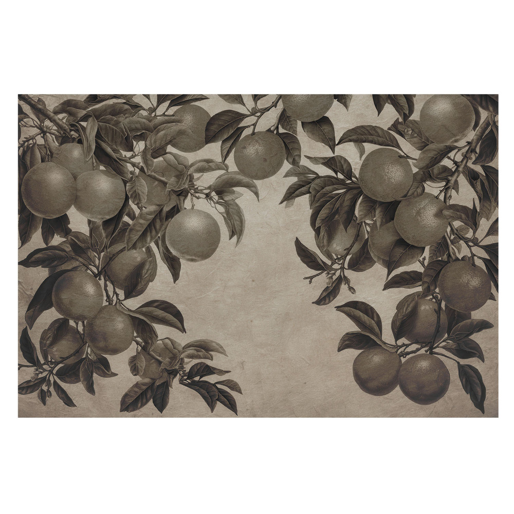 Frunze de fructe în stil retro, monocrom vintage
