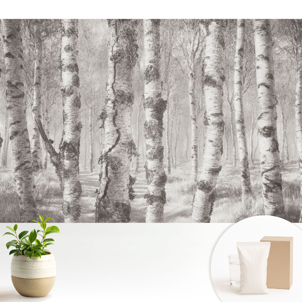 Mesteceni într-o pădure clasică