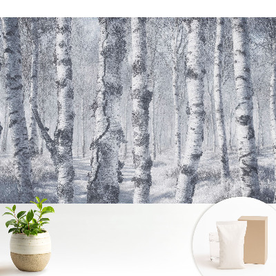 Pădure de mesteacăn de iarnă