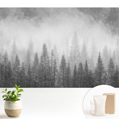 Pădurea misterioasă în ceață