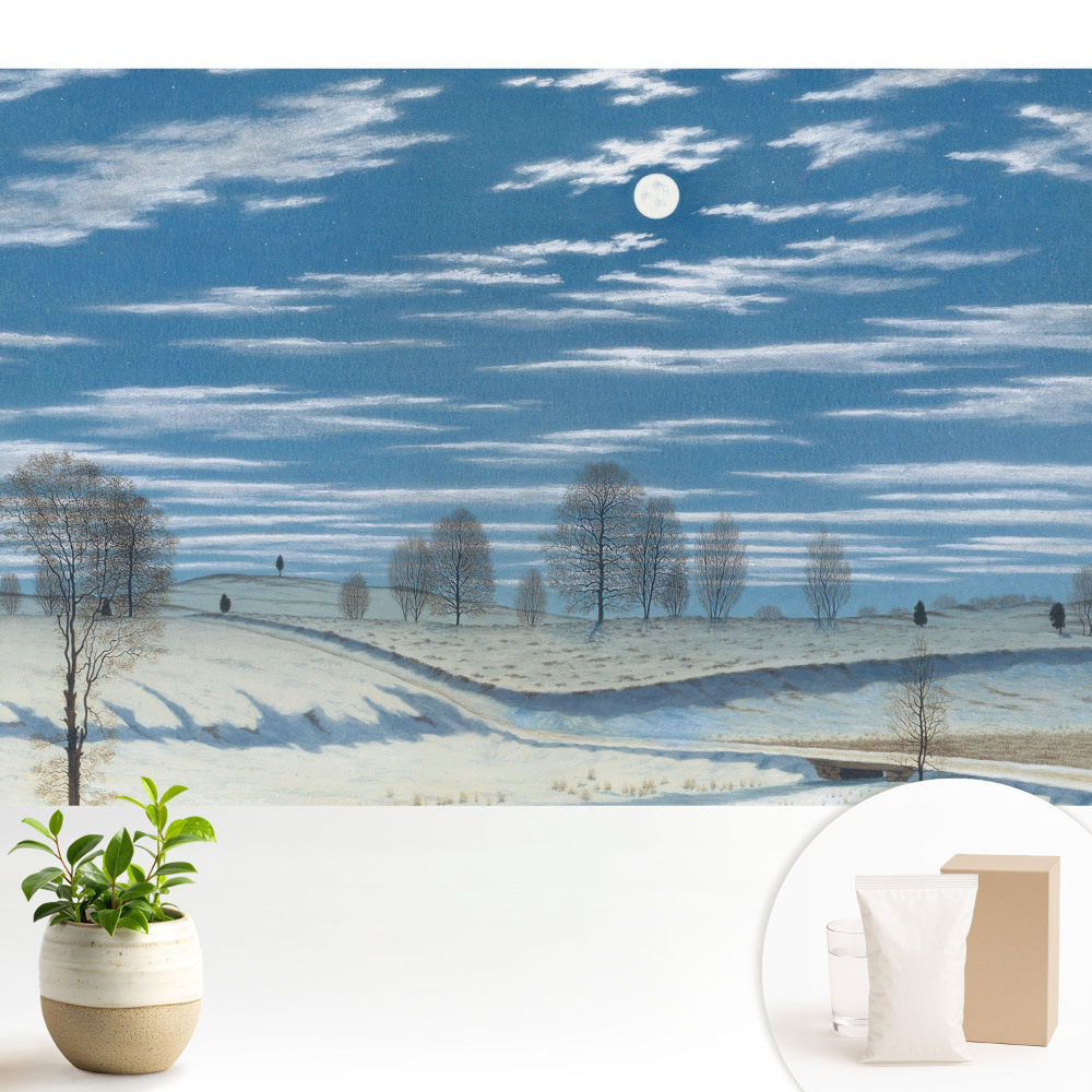 Un peisaj mohorât de iarnă sub lună