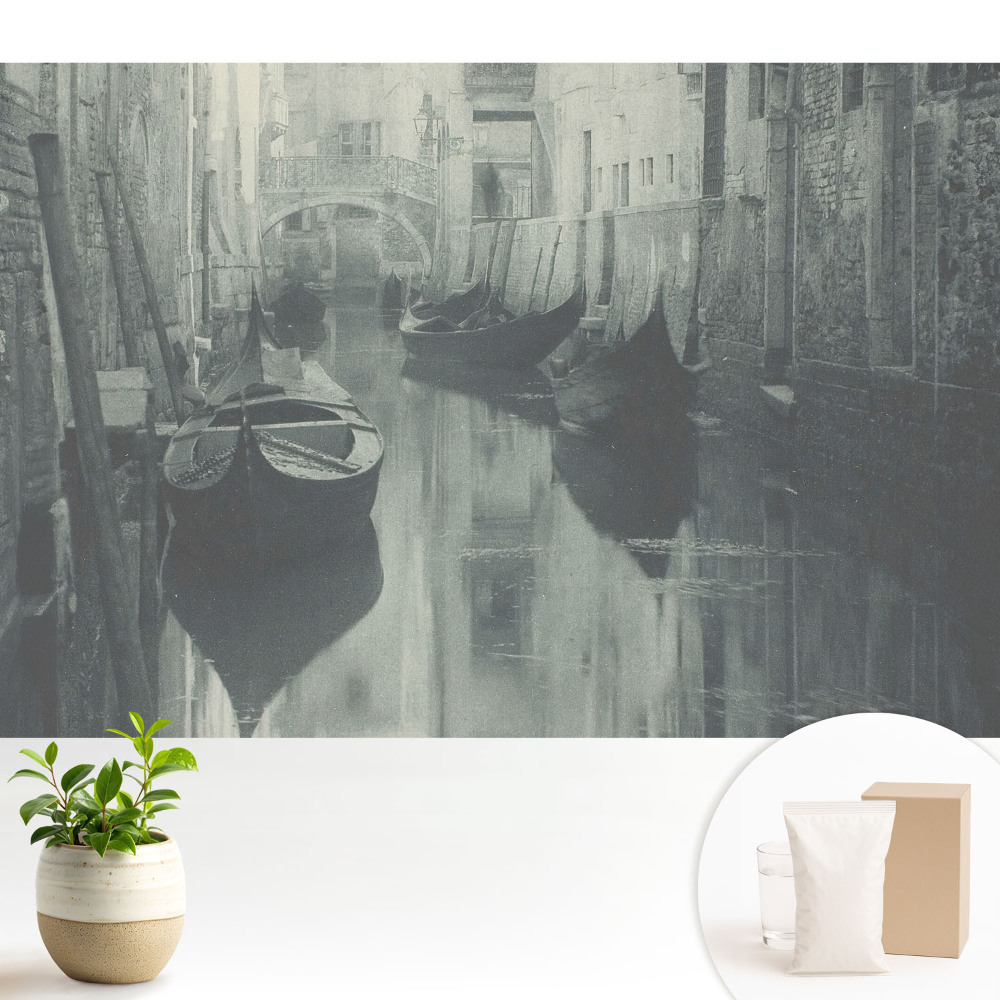 Pace și armonie într-un canal fermecător