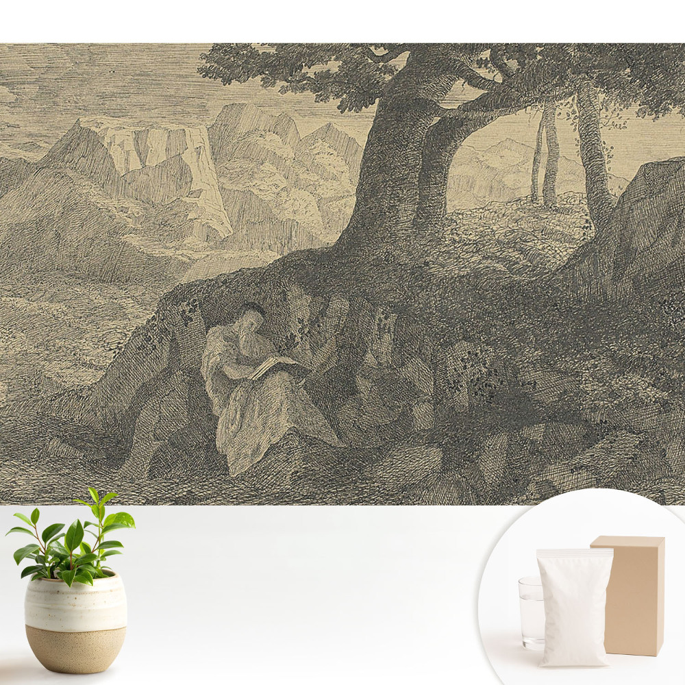 Citirea unui peisaj atmosferic sub un copac