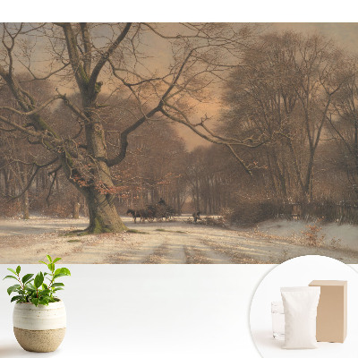 Pădure de iarnă pace natură