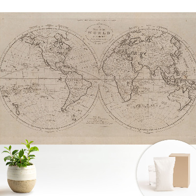 Desen istoric al lumii